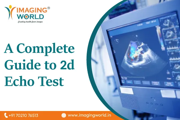 A Complete Guide to 2d Echo Test